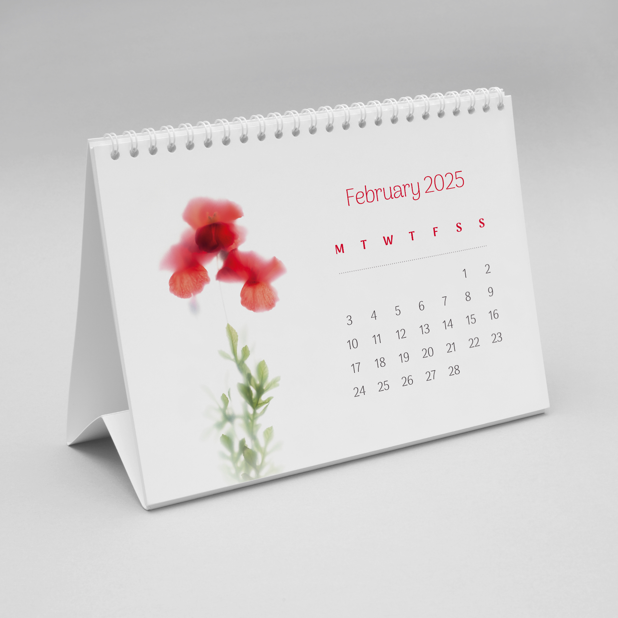 floracoll-CALENDAR-2025-standing-FEB-1