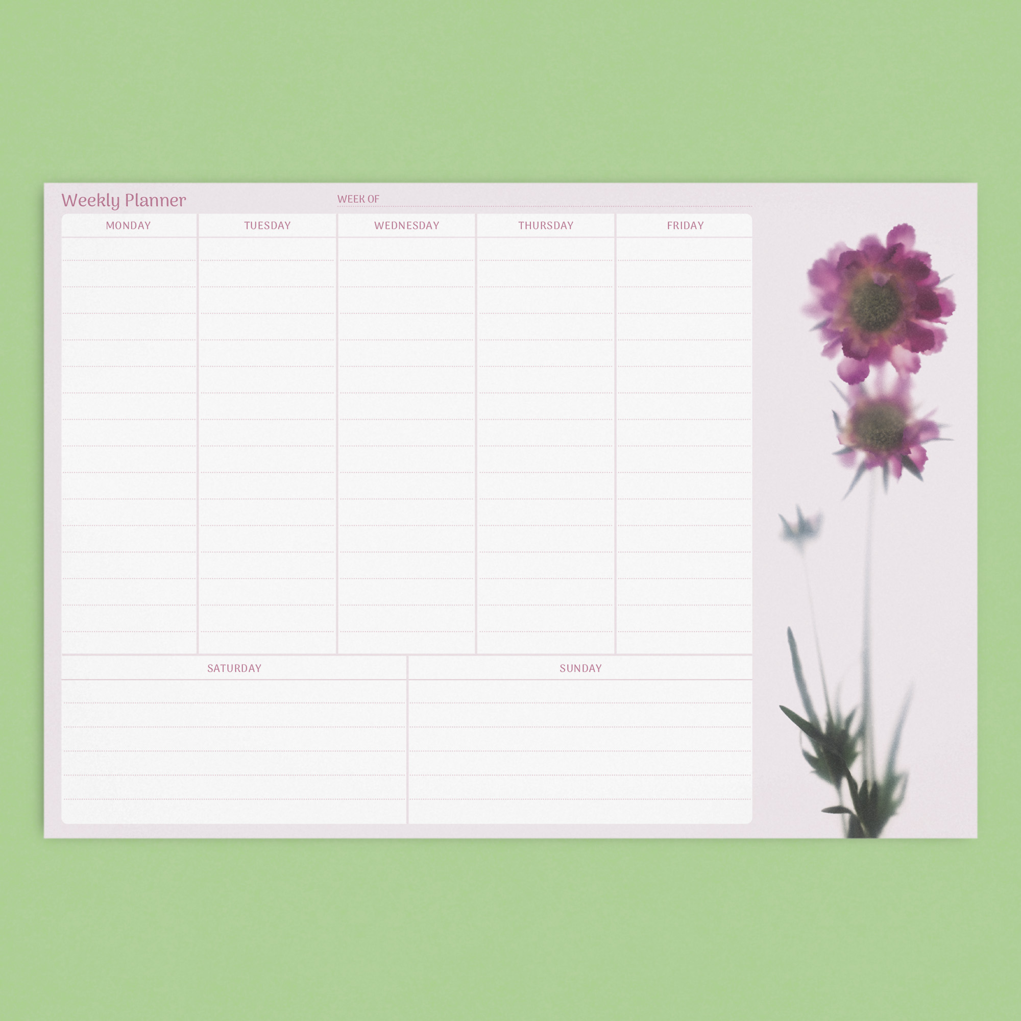 floracollection-notepads-A4 weekly-scabiosa-3