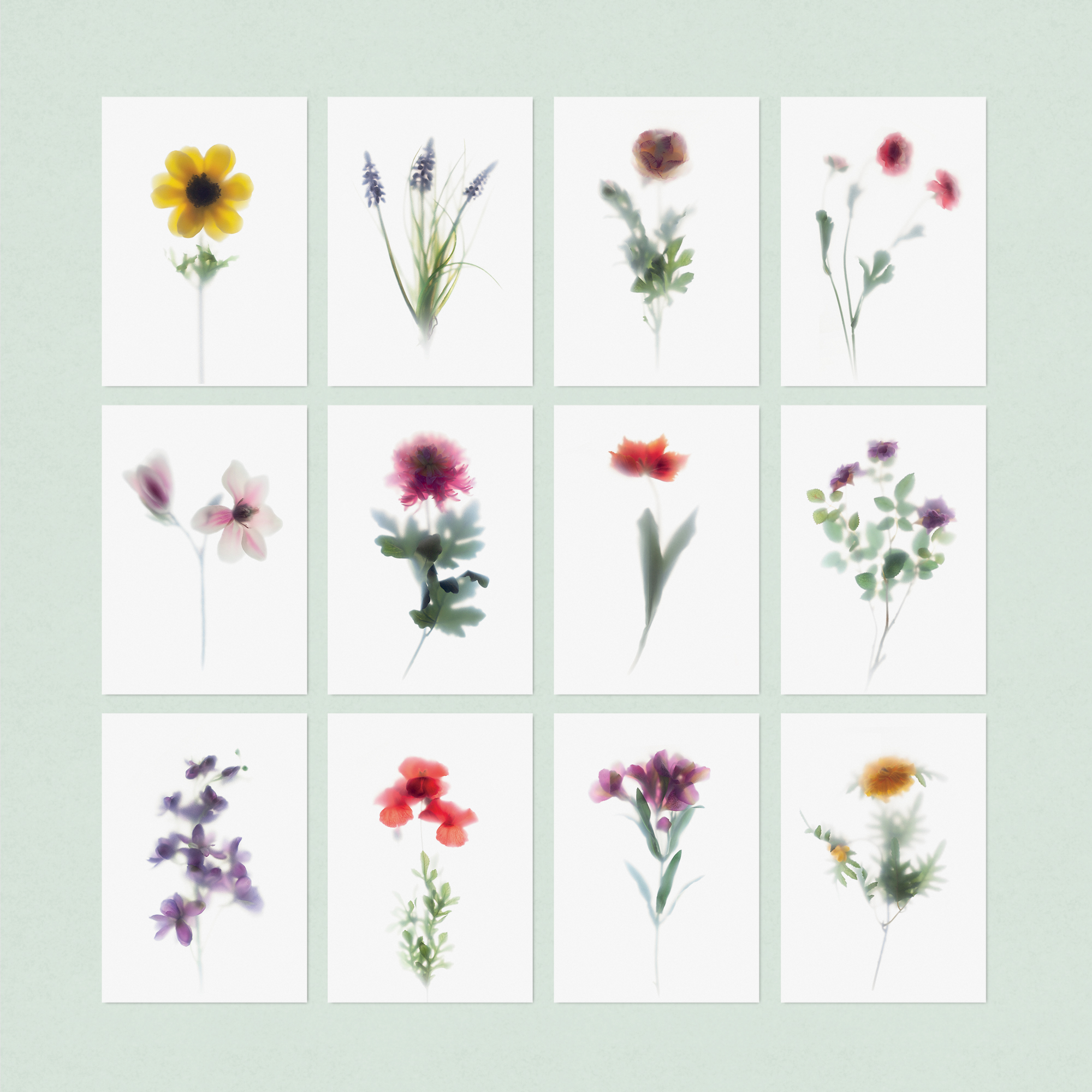 floracollection-postcards-set12-design2