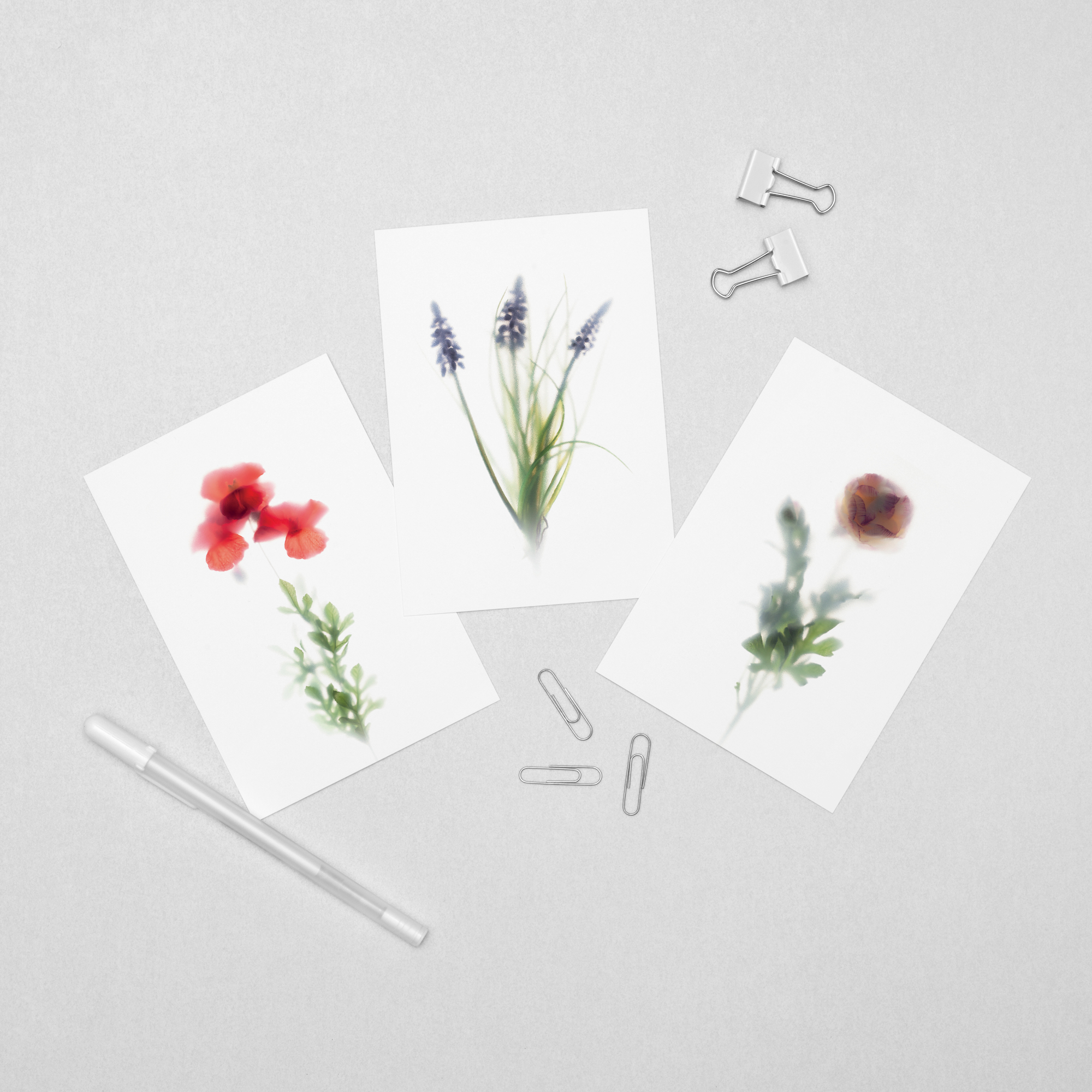 floracollection-postcards-setA-6A