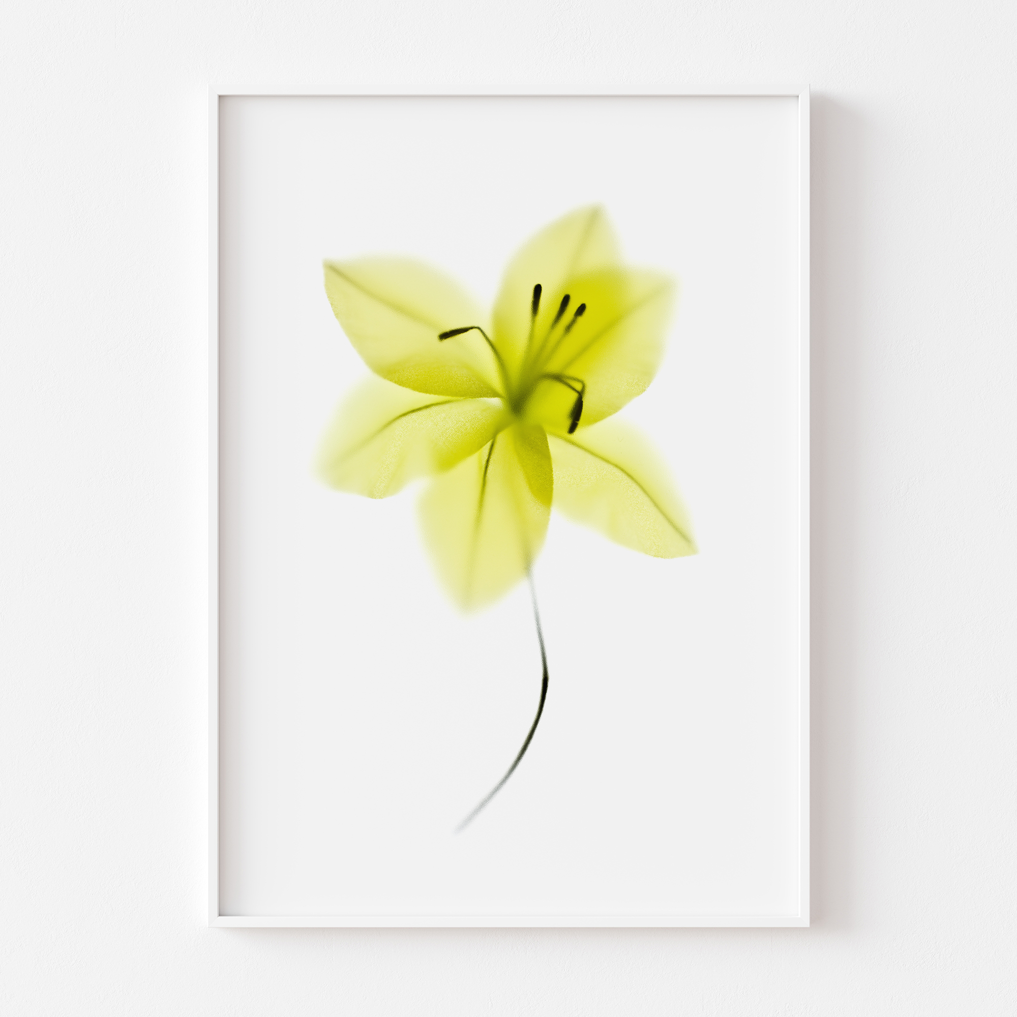 florarozita-wall-art-print-greenlily