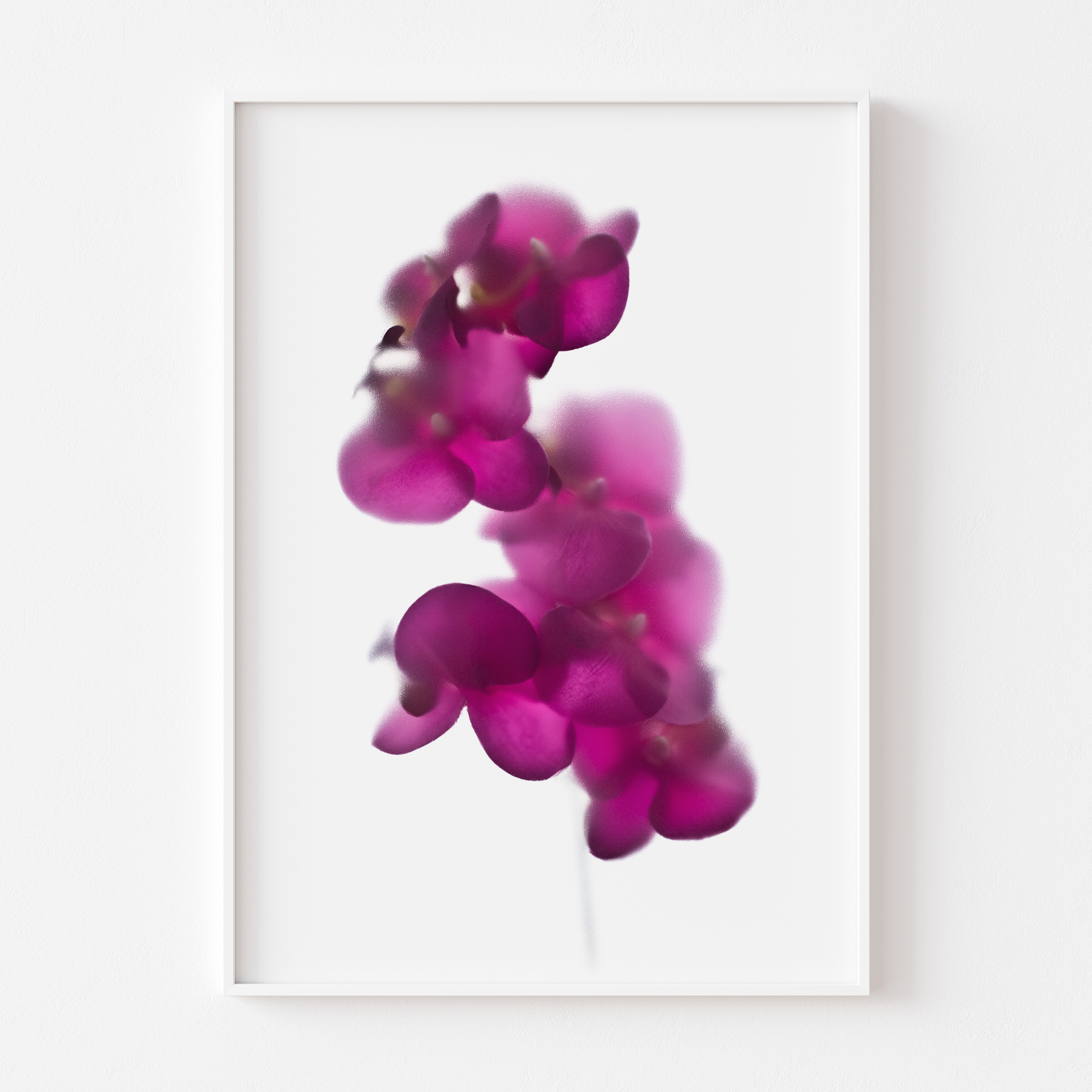 florarozita-wall-art-print-magentaorchids01