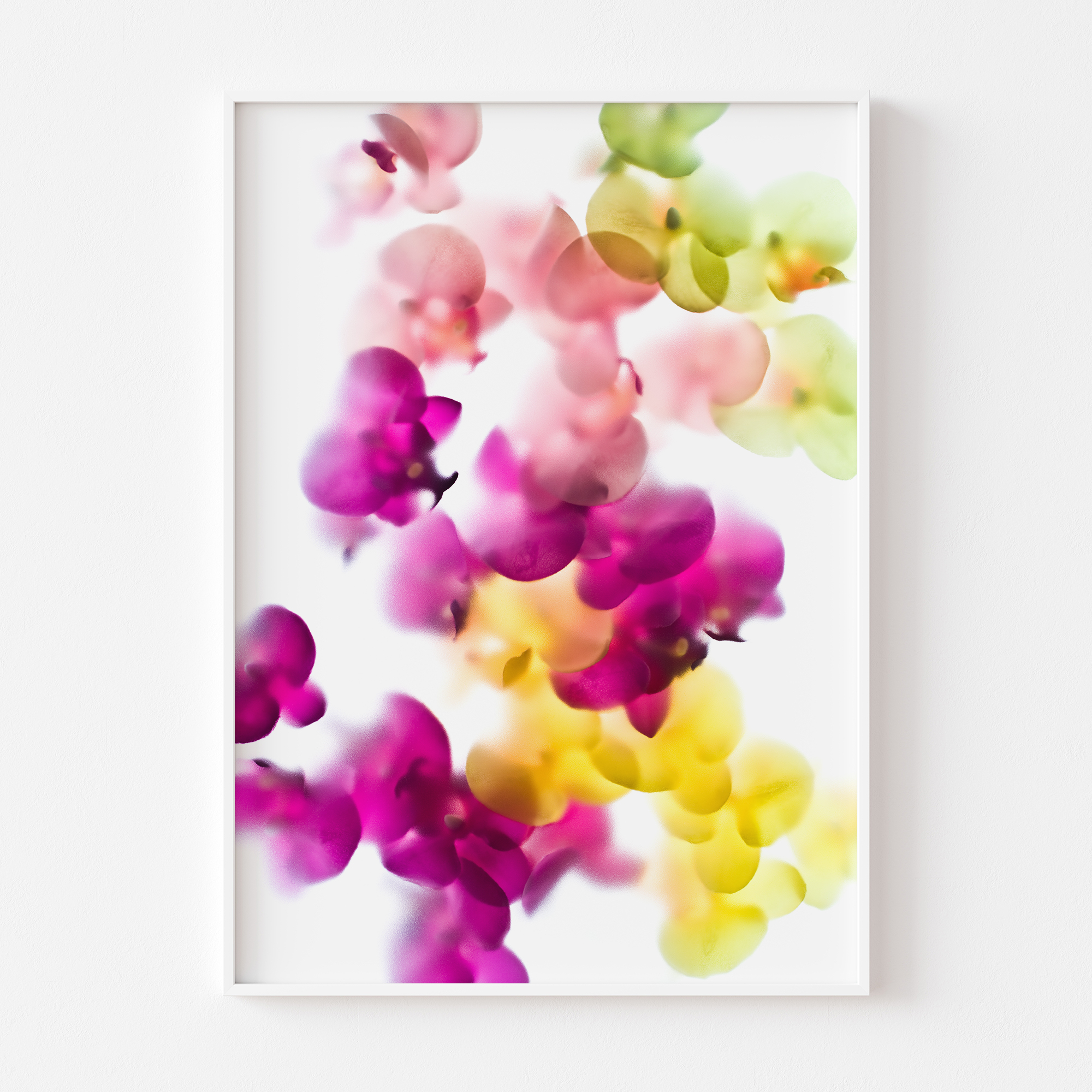 florarozita-wall-art-print-multicolouredorchids-02