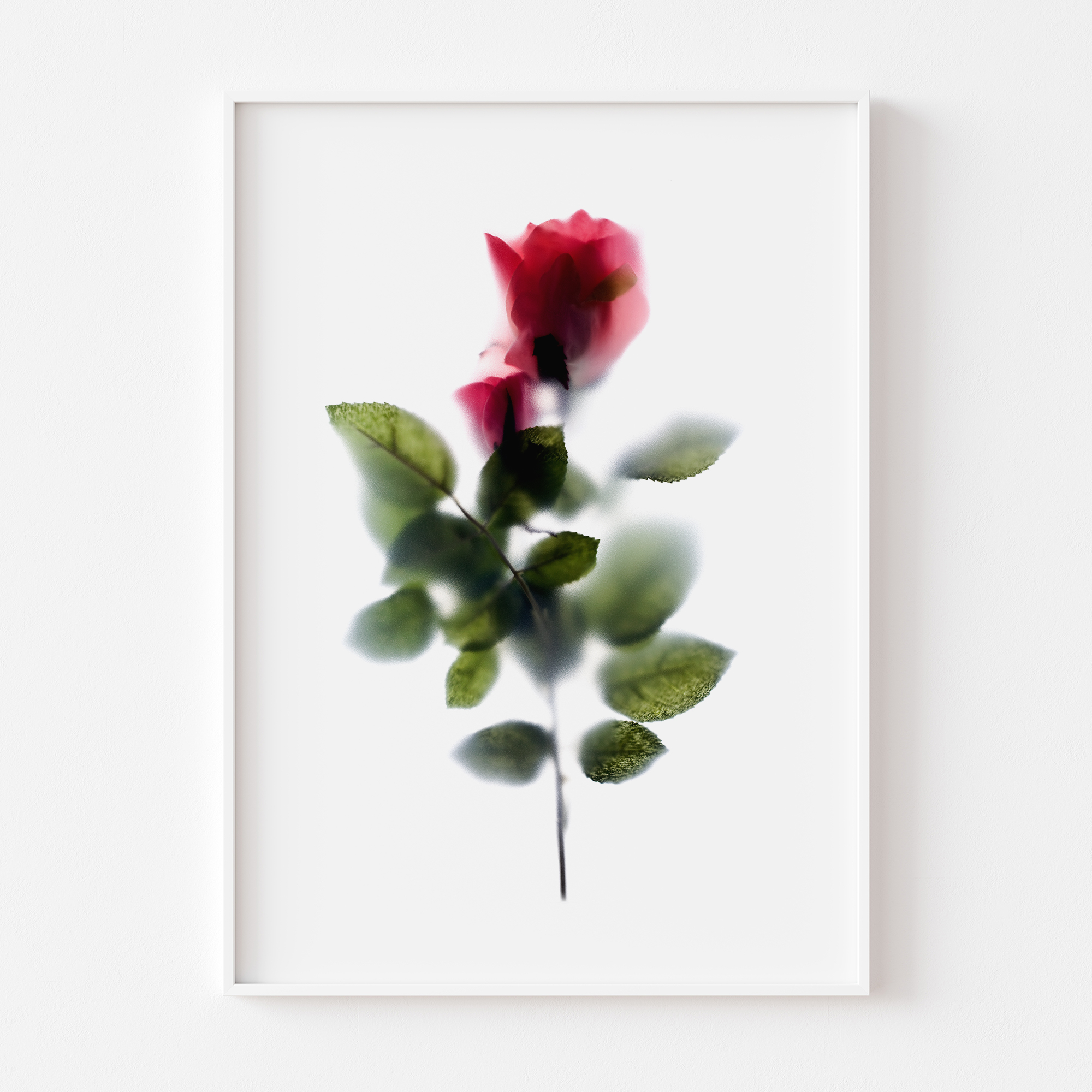 florarozita-wall-art-print-pinkrose