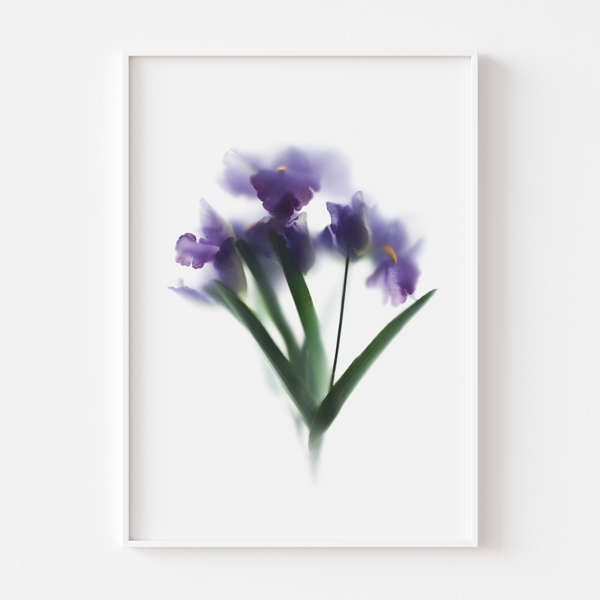 florarozita-wall-art-print-purpleiris-02