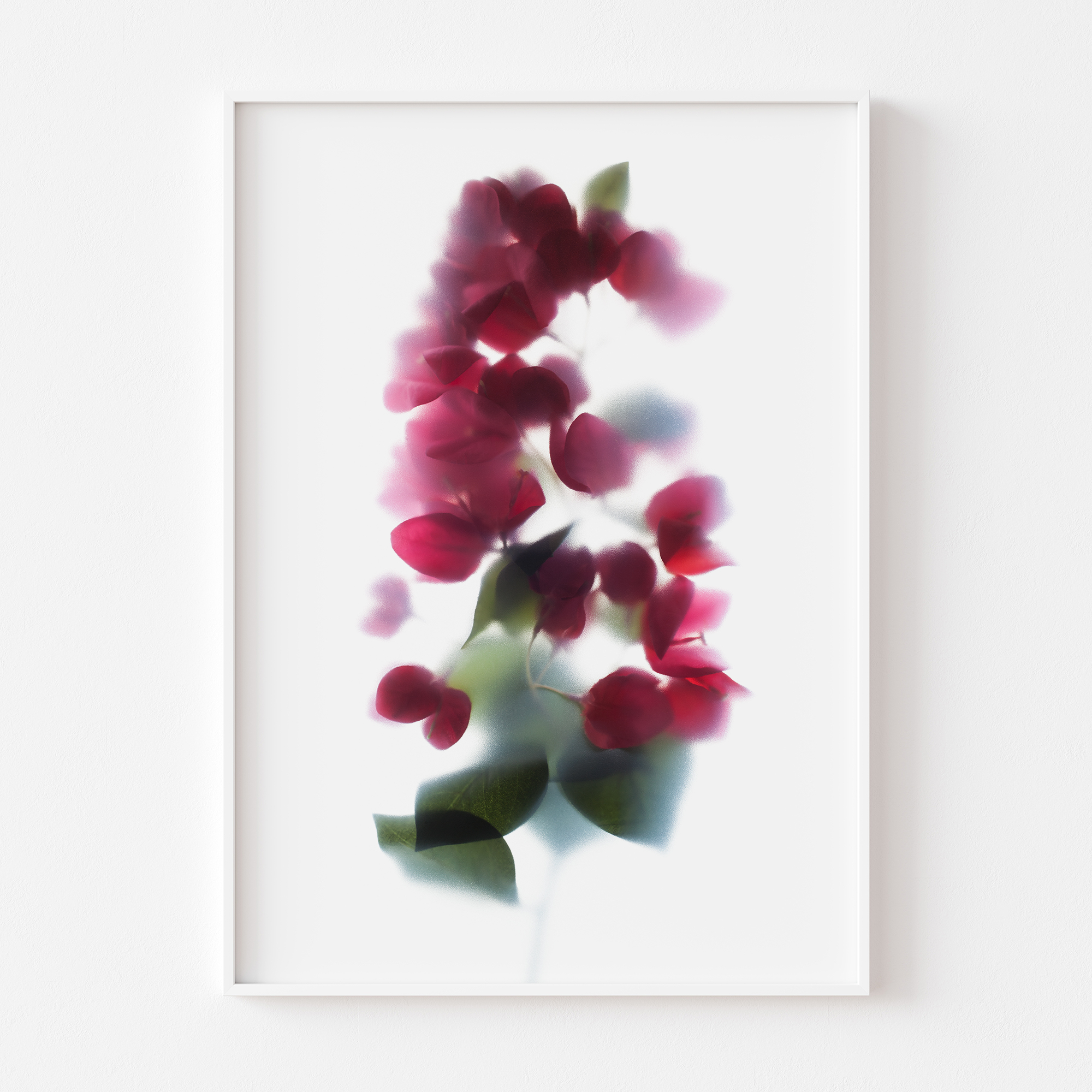 florarozita-wall-art-print-redbougainvillea