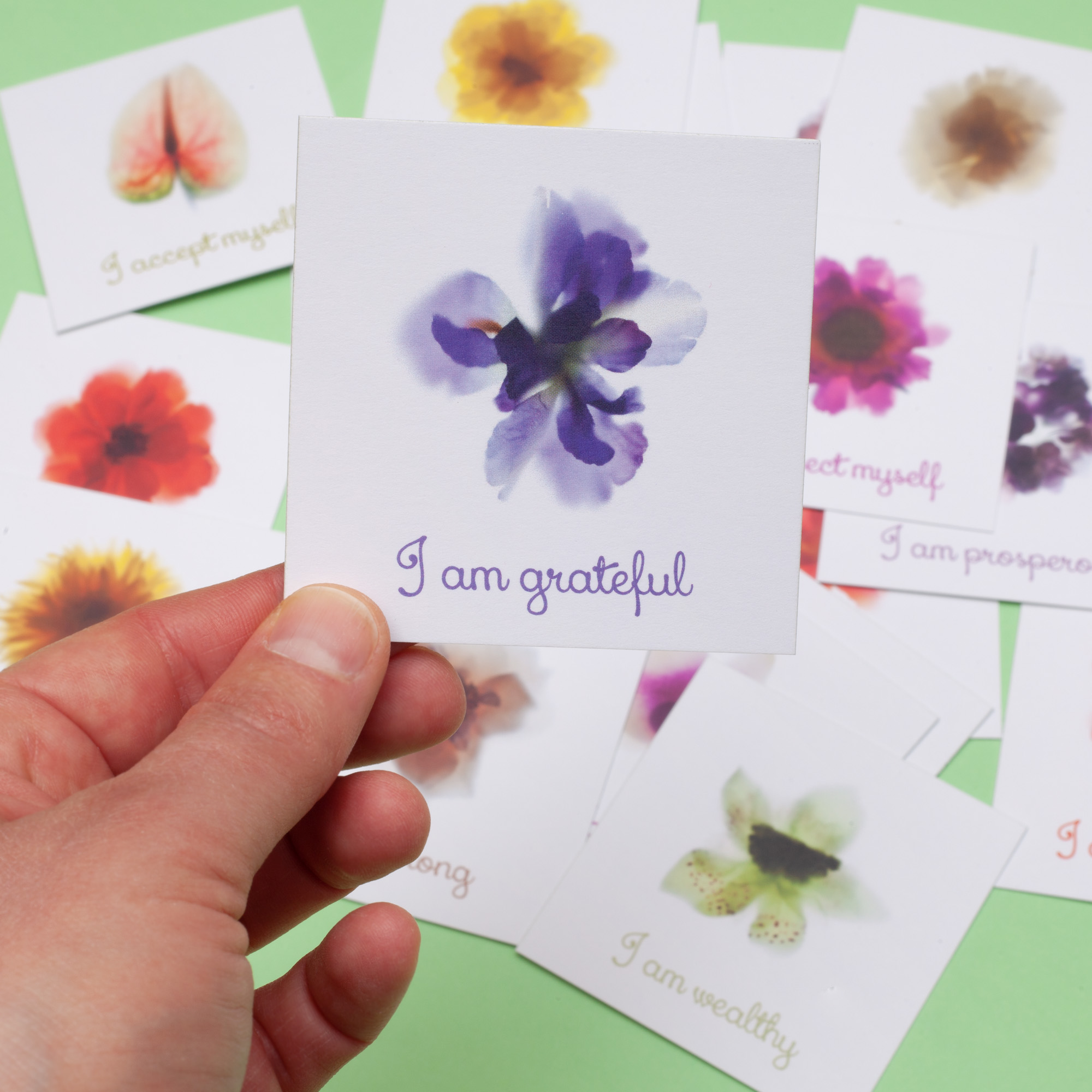 floracollecion-affirmations-pack-22-1